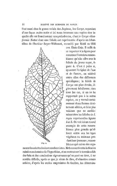 Fichier:ALS 1886 8 19.pdf
