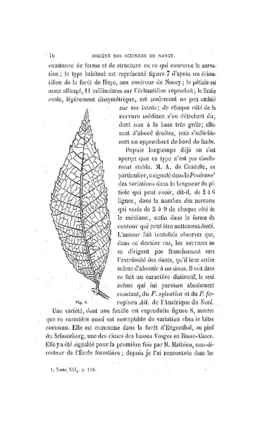 Fichier:ALS 1886 8 19.pdf