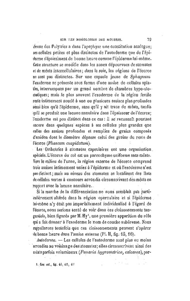 Fichier:ALS 1886 8 19.pdf