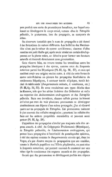 Fichier:ALS 1886 8 19.pdf