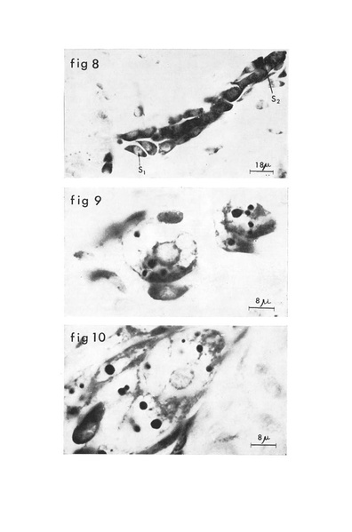 Fichier:ALS 1970 9 3.pdf