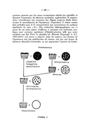page suivante →
