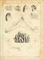 ALS Mémoires 1830 page 121.jpg