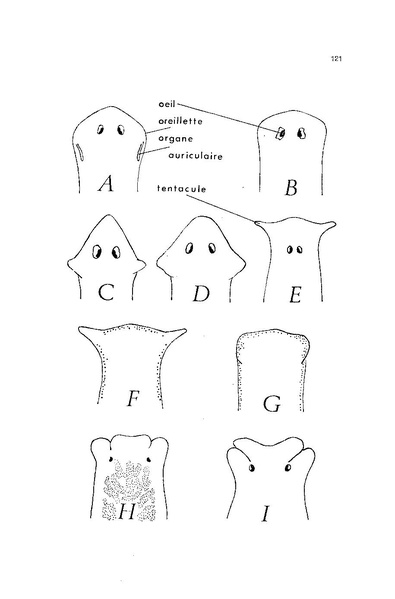Fichier:ALS 1976 15 3.pdf