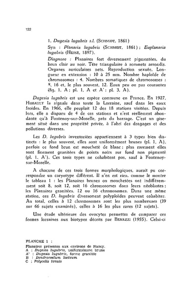 Fichier:ALS 1976 15 3.pdf