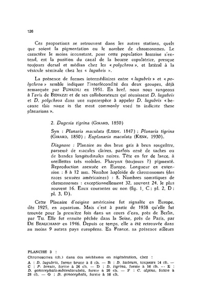 Fichier:ALS 1976 15 3.pdf