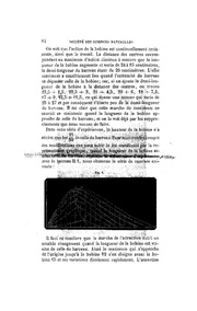 ← page précédente