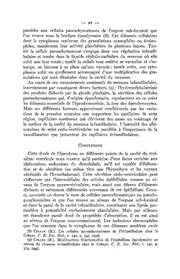 page suivante →
