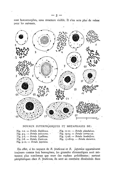 Fichier:ALS 1949 1 1.pdf