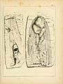 ALS Mémoires 1840 page 49.jpg
