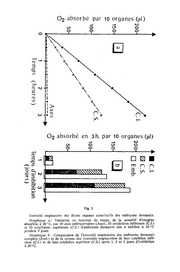 page suivante →