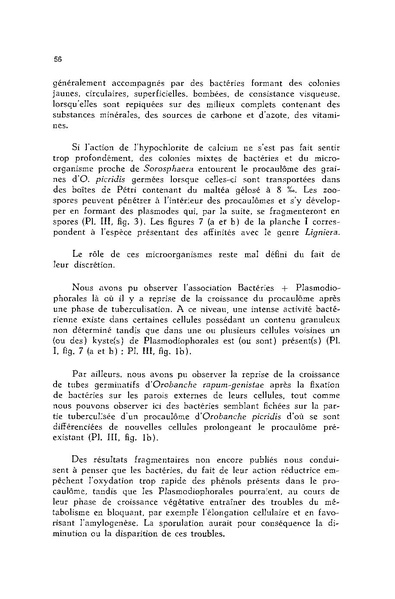 Fichier:ALS 1976 15 2.pdf
