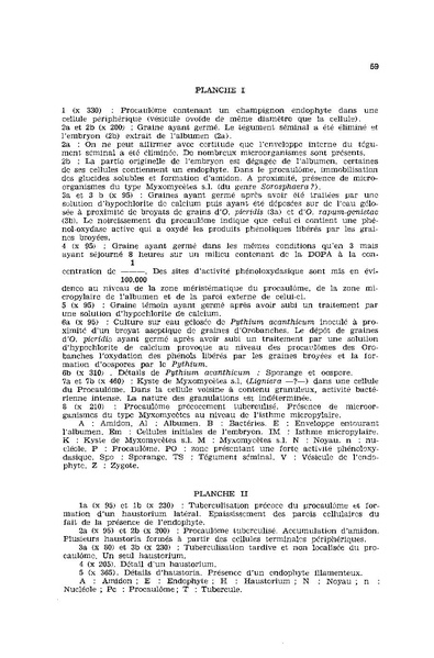 Fichier:ALS 1976 15 2.pdf