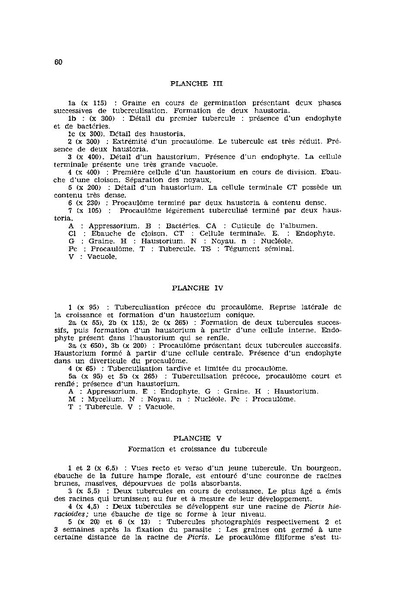 Fichier:ALS 1976 15 2.pdf