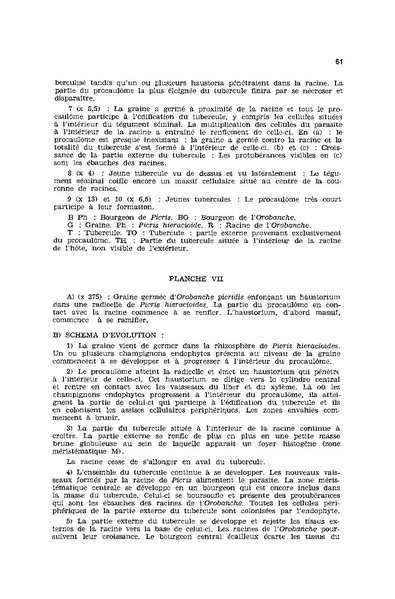 Fichier:ALS 1976 15 2.pdf
