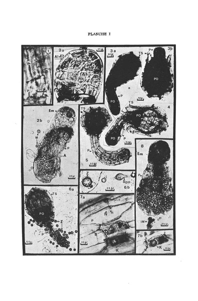 Fichier:ALS 1976 15 2.pdf