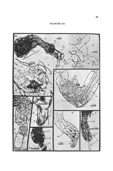 Fichier:ALS 1976 15 2.pdf