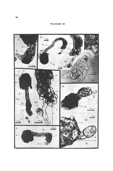 Fichier:ALS 1976 15 2.pdf