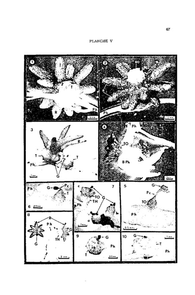 Fichier:ALS 1976 15 2.pdf