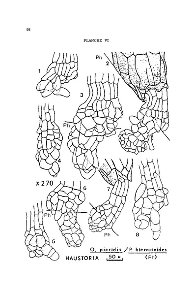 Fichier:ALS 1976 15 2.pdf