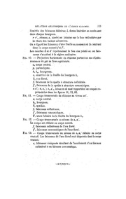 page suivante →