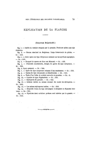 Fichier:ALS 1887 9 21.pdf
