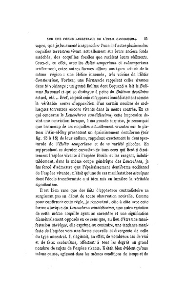 Fichier:ALS 1887 9 21.pdf