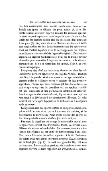 Fichier:ALS 1887 9 21.pdf