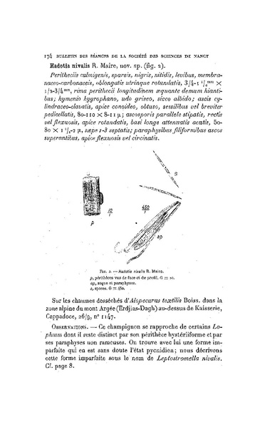 Fichier:ALS 1906 7.pdf