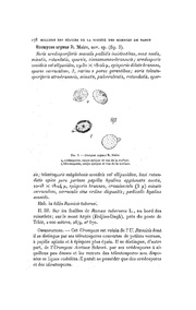 page suivante →