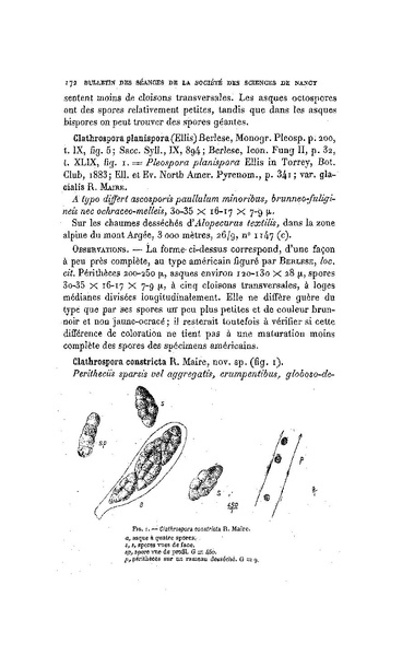 Fichier:ALS 1906 7.pdf