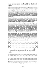 page suivante →