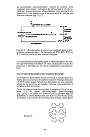 page suivante →