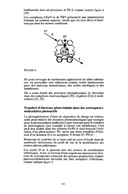 page suivante →