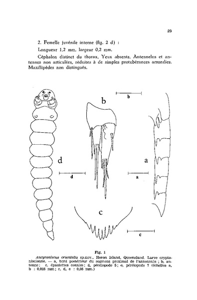 Fichier:ALS 1980 19 1.pdf