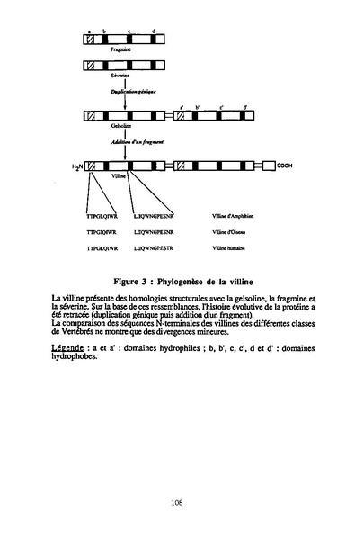 Fichier:ALS 1995 34 3.pdf