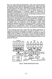 page suivante →