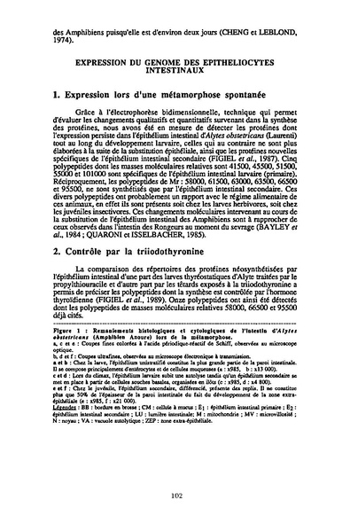 Fichier:ALS 1995 34 3.pdf