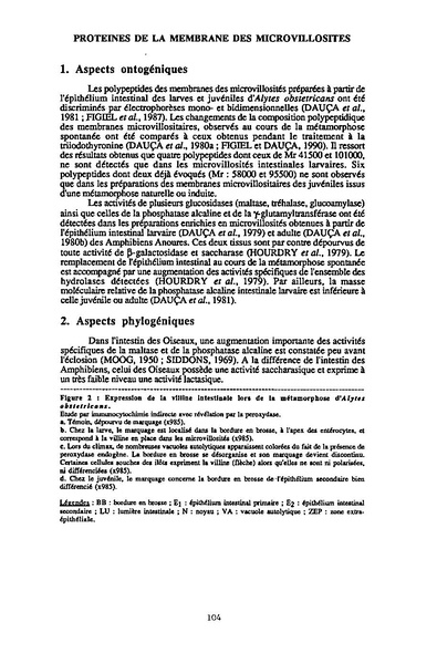 Fichier:ALS 1995 34 3.pdf