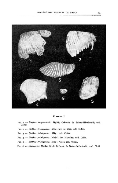 Fichier:ALS 1937 1.pdf
