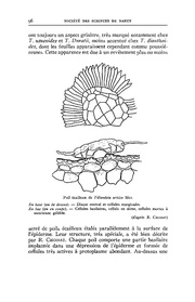 page suivante →