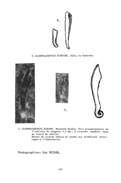 Fichier:ALS 1994 33 3.pdf