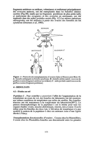 Fichier:ALS 1994 33 3.pdf