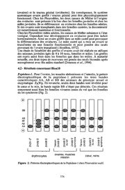 page suivante →
