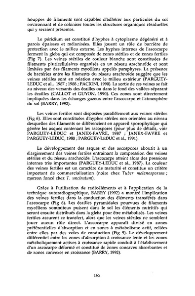 Fichier:ALS 1994 33 3.pdf