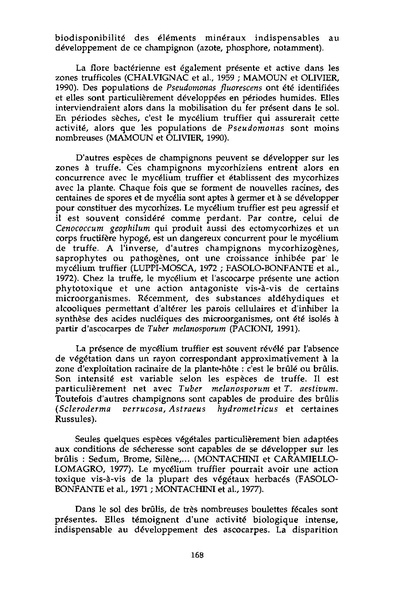 Fichier:ALS 1994 33 3.pdf