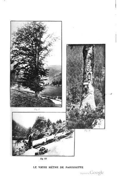 Fichier:ALS 1906 I.A.pdf