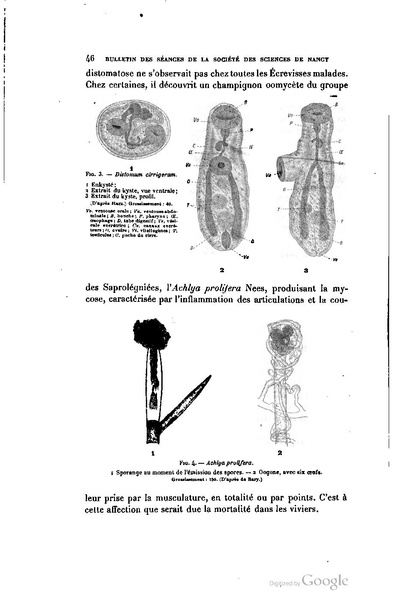 Fichier:ALS 1906 I.A.pdf