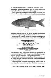 page suivante →