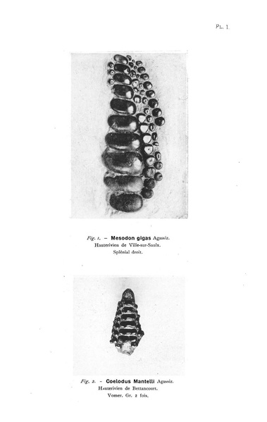 Fichier:ALS 1922 1.pdf